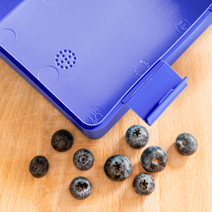 Personalisierte Kinder-Brotdose mit Wunschnamen - royal blue