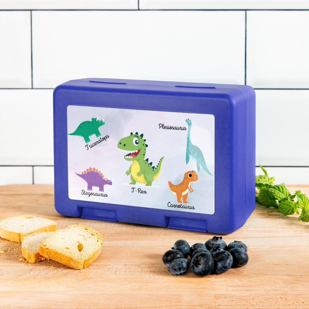 Kinder Snackbox mit Dinosaurier Design für unterwegs