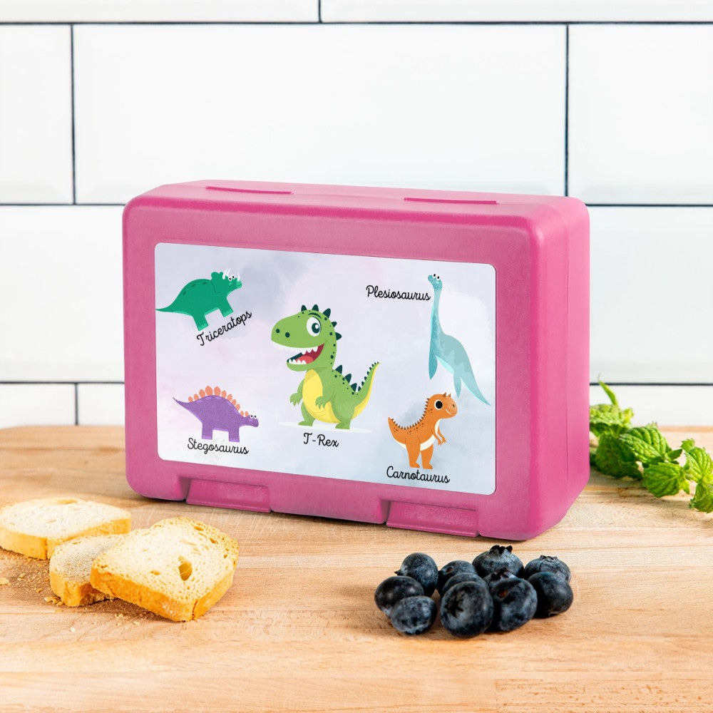 Kinder Snackbox mit Dinosaurier Design für unterwegs