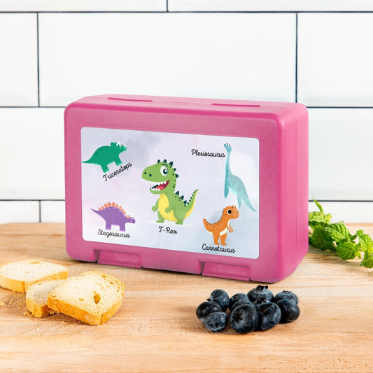 Kinder Snackbox mit Dinosaurier Design für unterwegs