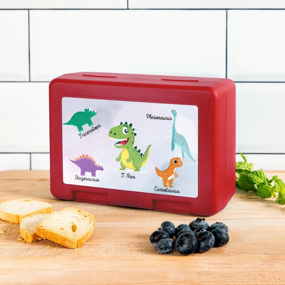 Kinder Snackbox mit Dinosaurier Design für unterwegs
